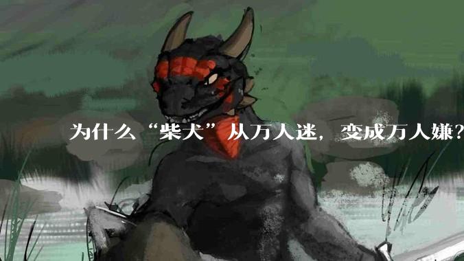 为什么“柴犬”从万人迷，变成万人嫌？