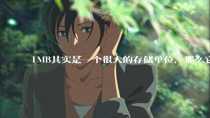 1MB其实是一个很大的存储单位，那么它的存储容量究竟有多大？