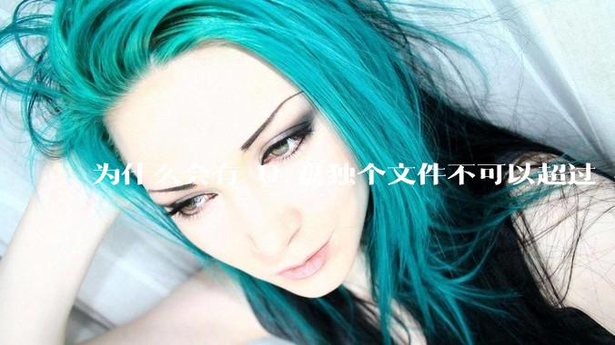 为什么会有 U 盘独个文件不可以超过 4GB 这种设定？