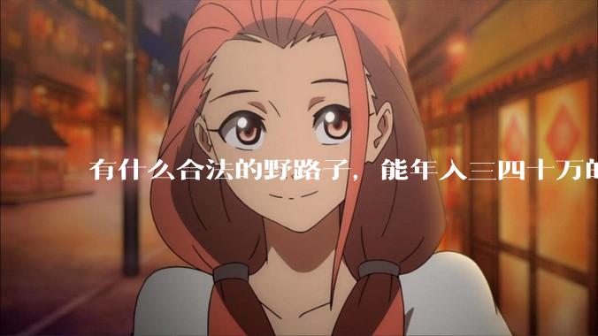 有什么合法的野路子，能年入三四十万的？
